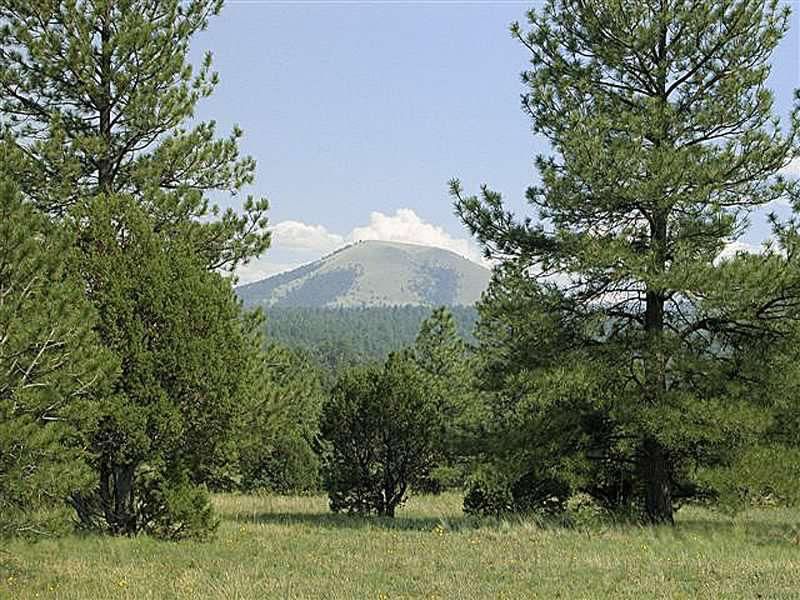 Apache County