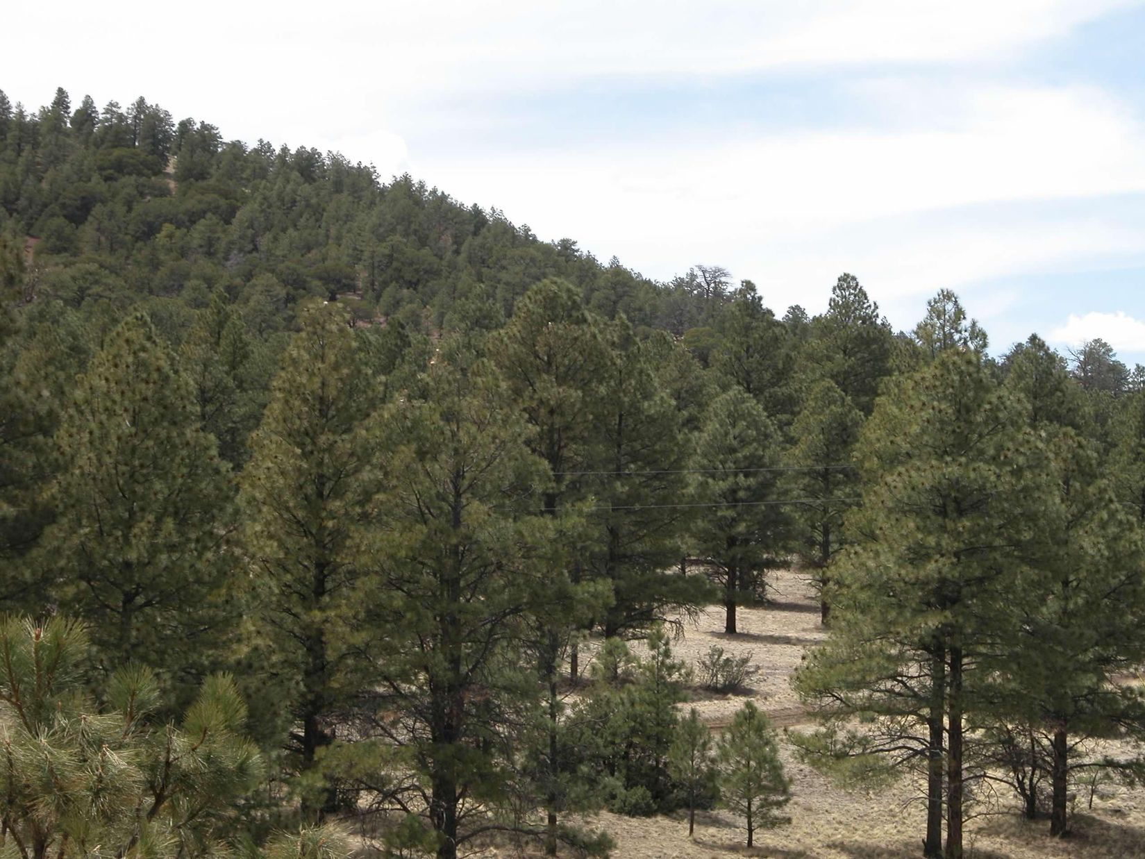 Apache County