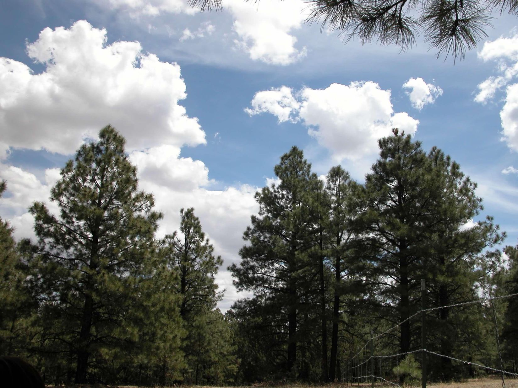 Apache County