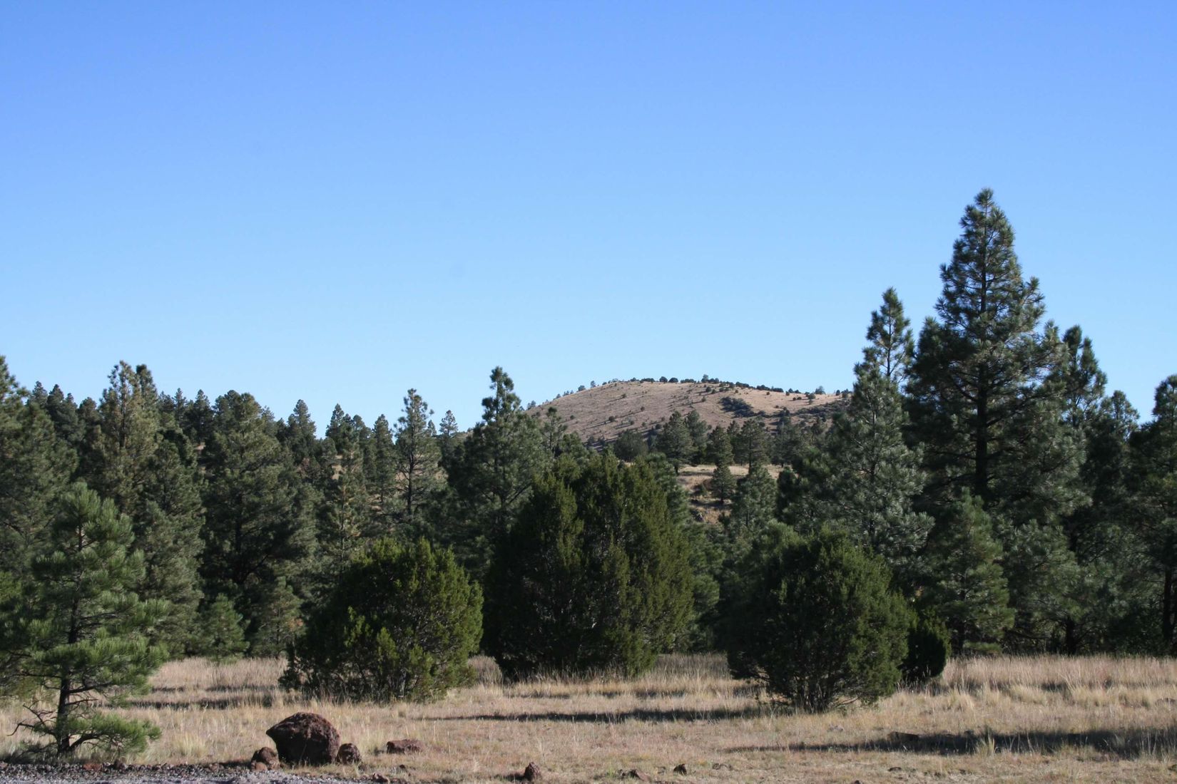 Apache County