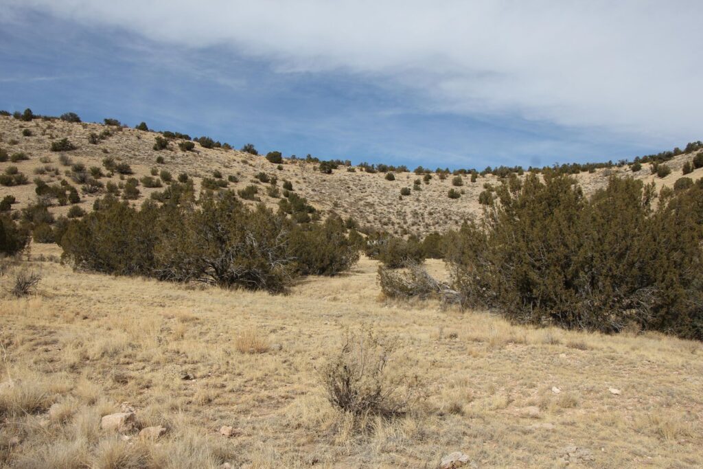 Yavapai County