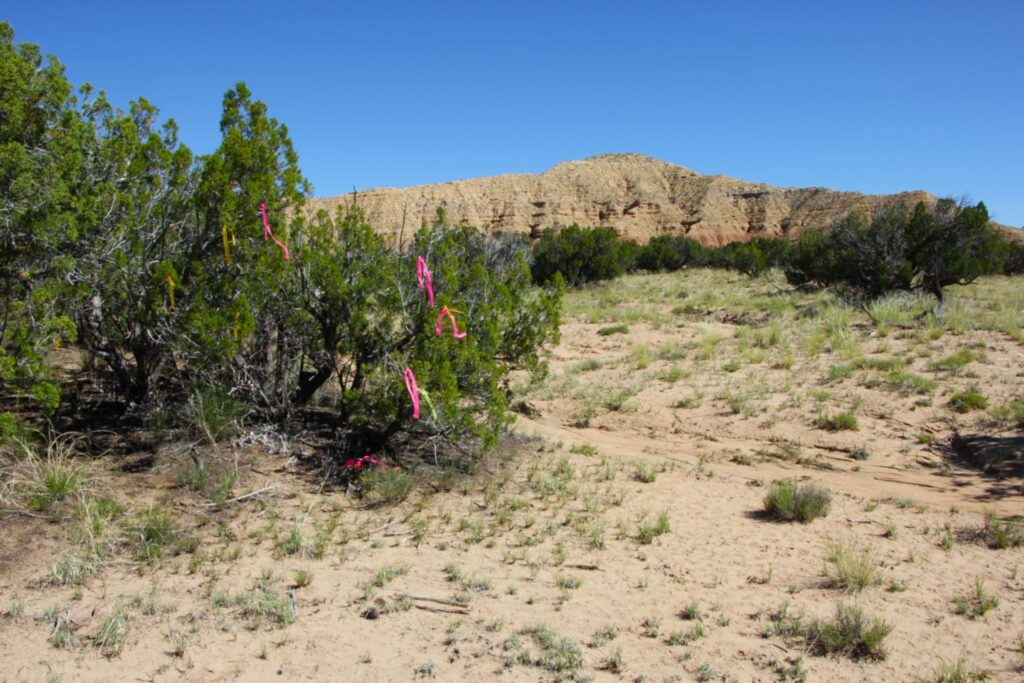 36 acres w/APPROVED