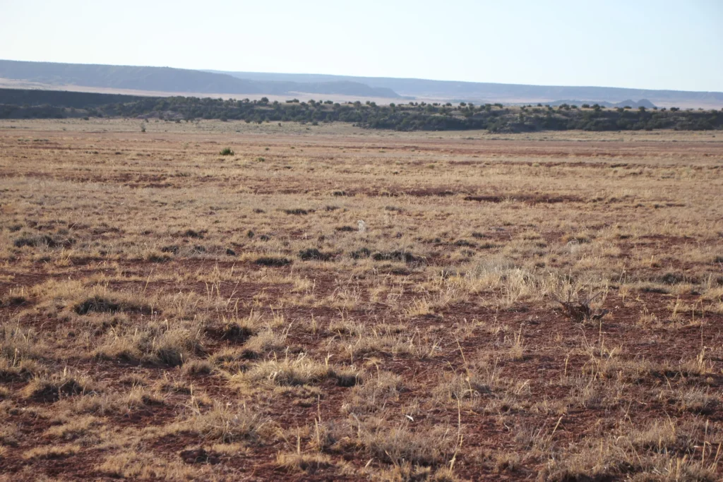 $35,000 25 Acres