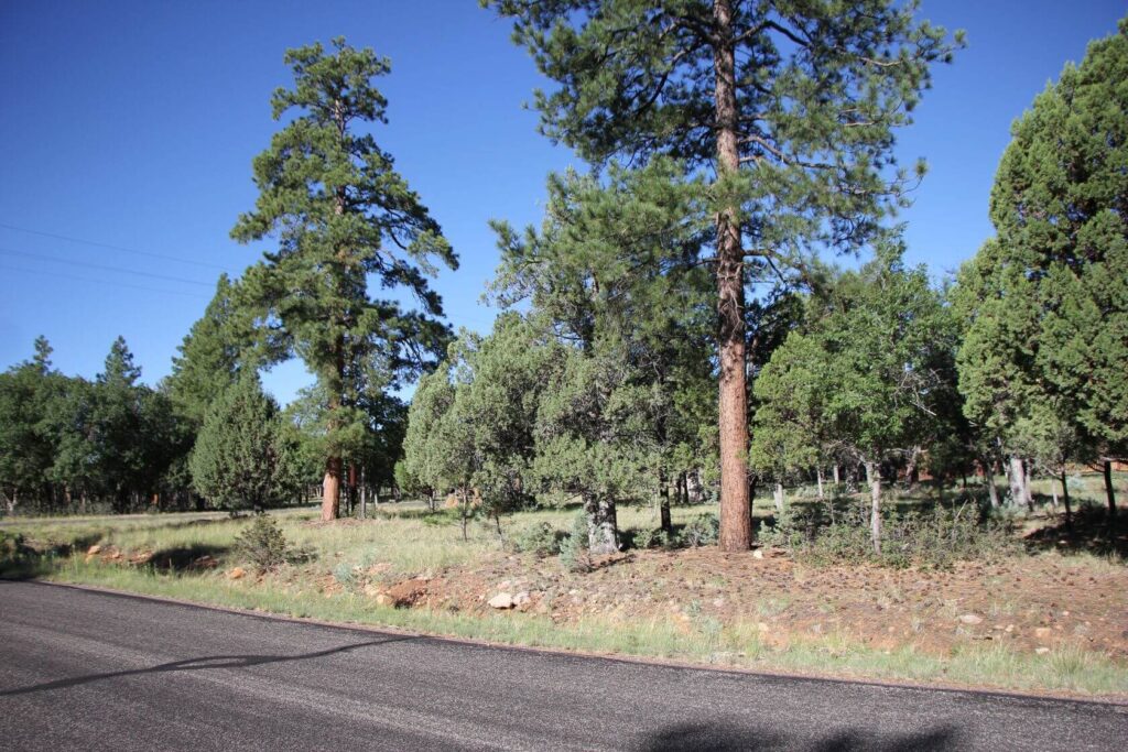 Arizona Tall Pines
