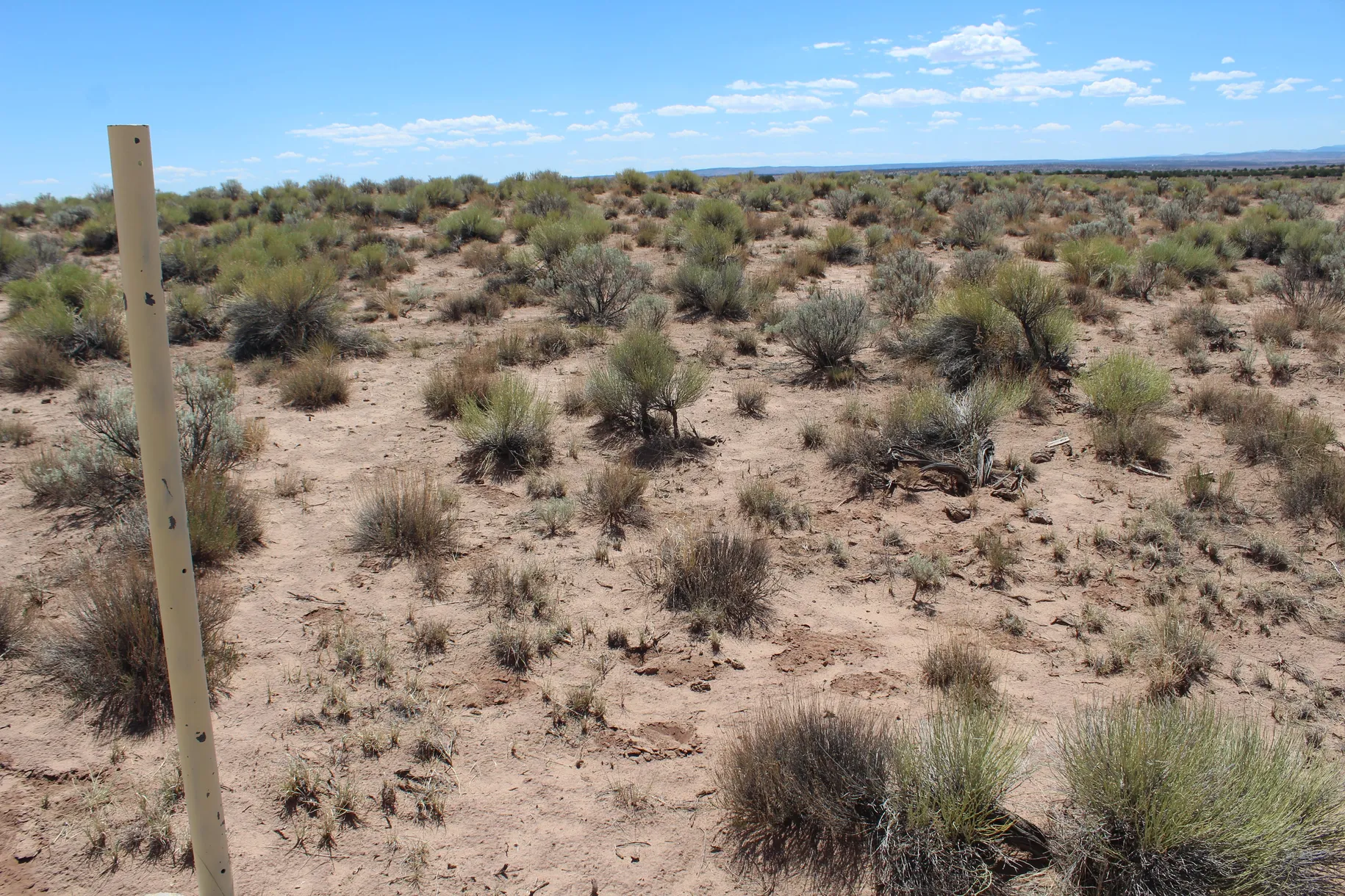 36 ac w/Well & Septic