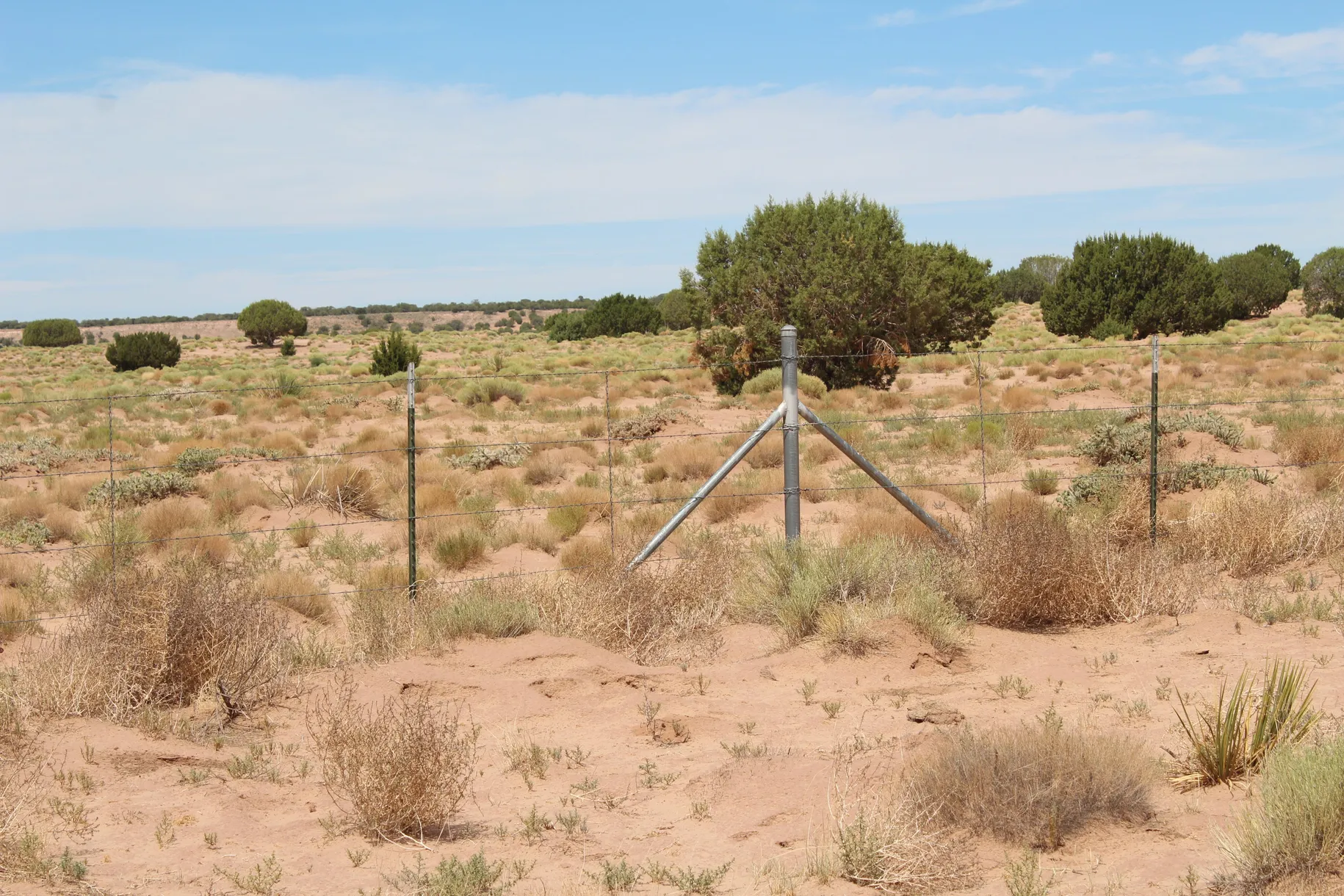 36 ac w/Well & Septic