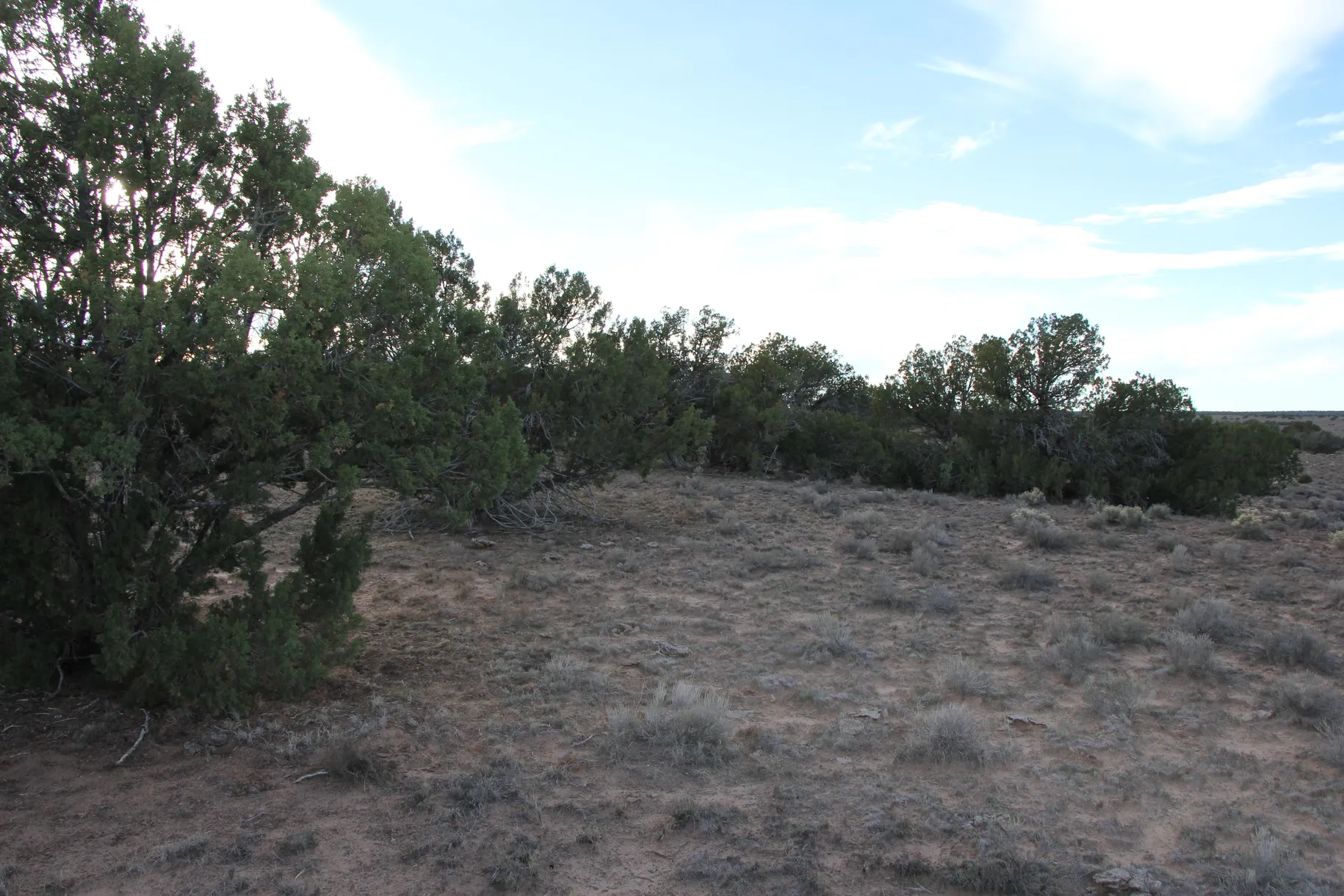 36 Acres SELLER FINANCING