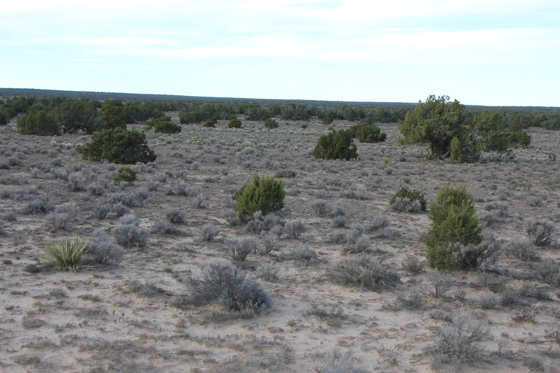 36 Acres SELLER FINANCING