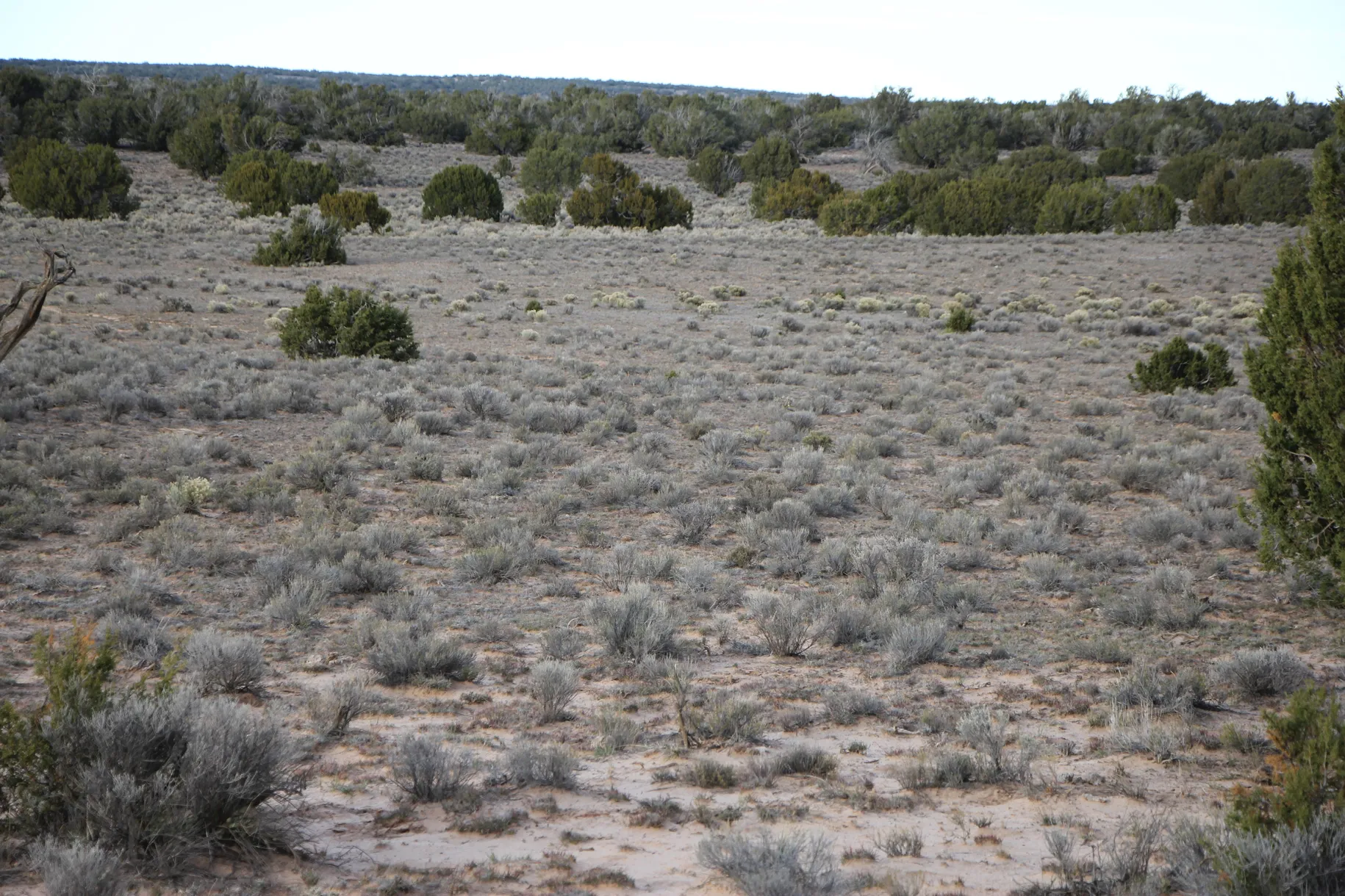 36 Acres SELLER FINANCING
