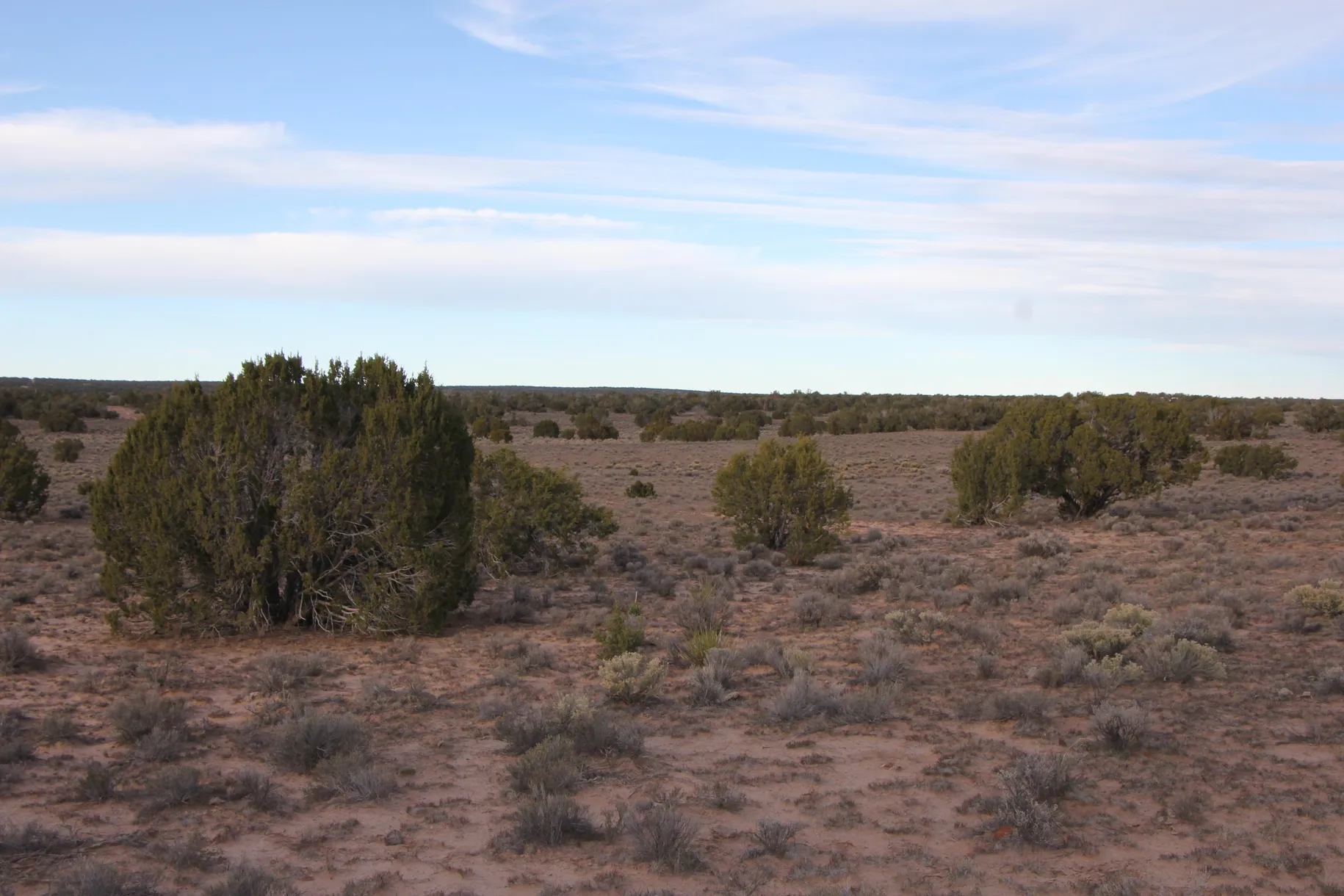 36 Acres SELLER FINANCING