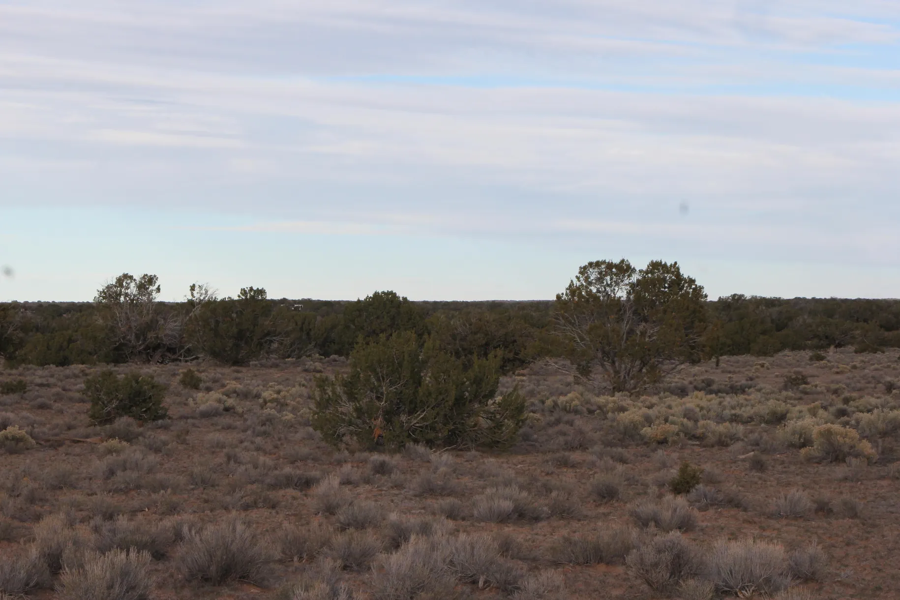 36 Acres SELLER FINANCING