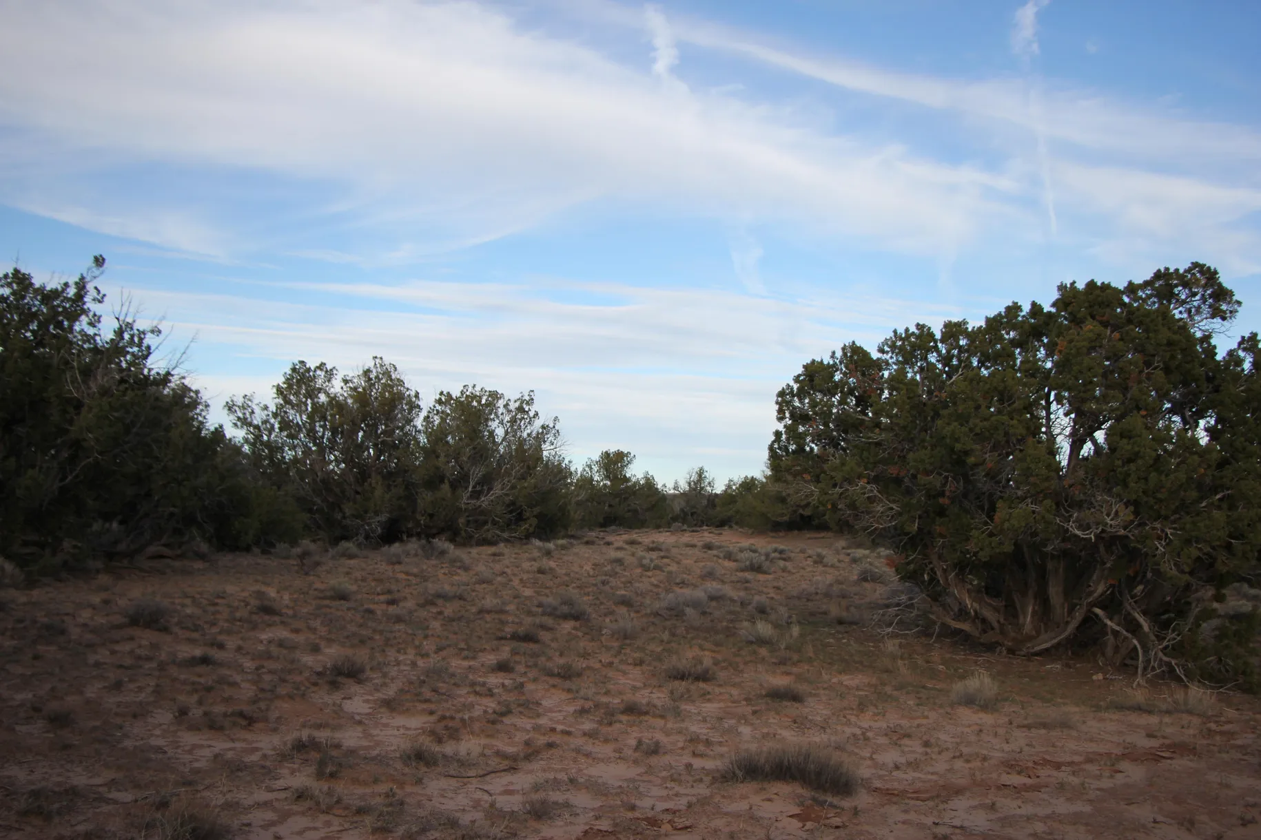 36 Acres SELLER FINANCING