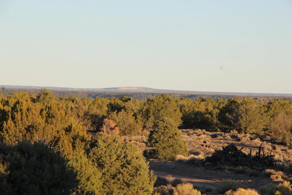 36 Acres of Space & Privacy