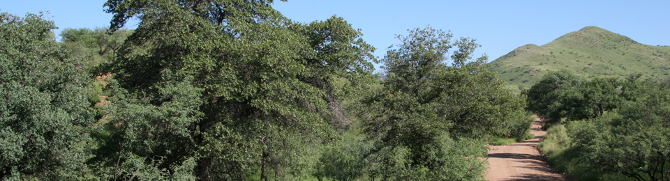 Salero Ranch