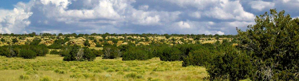 Elk Valley Ranch