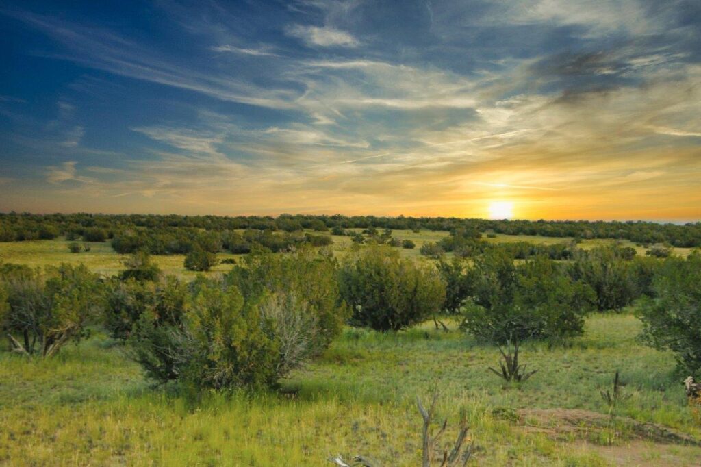 G-Bar Ranch