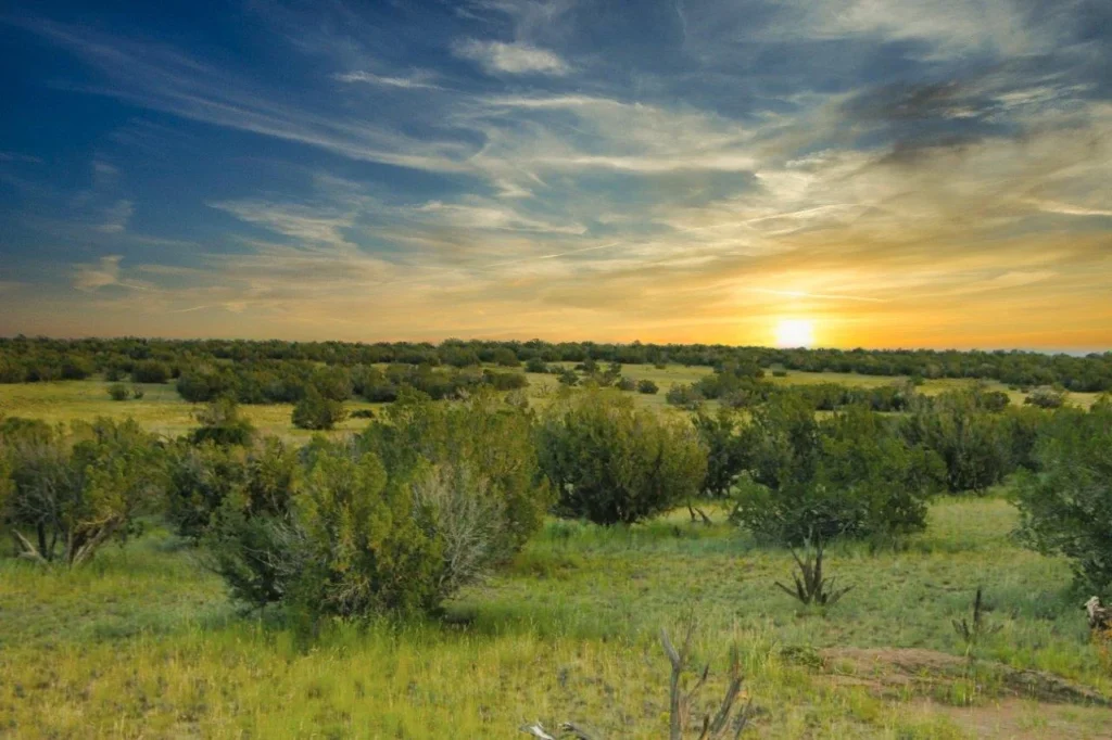 G-Bar Ranch