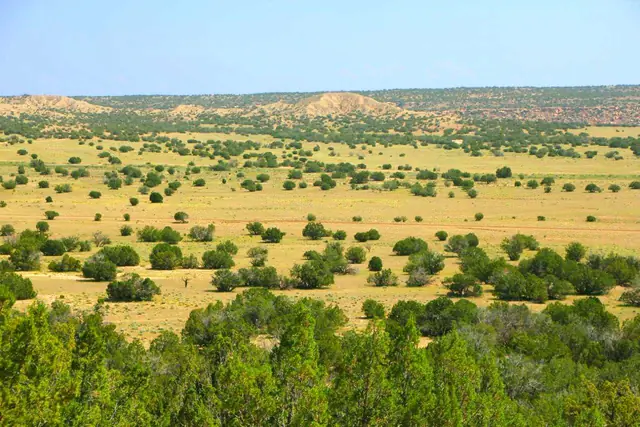 Arizona ranch land with rolling green hills