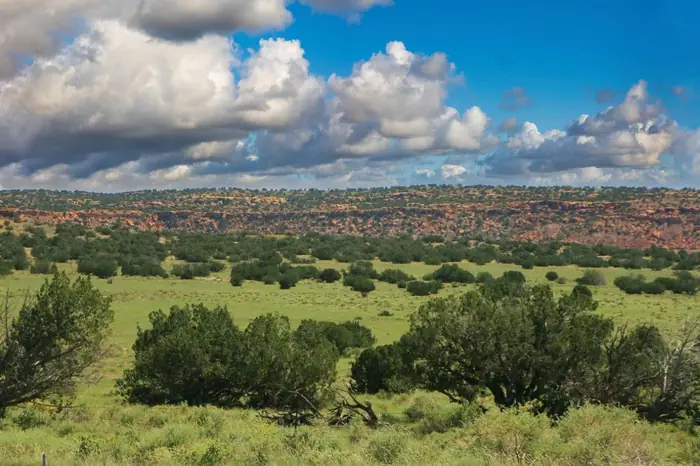 Arizona green rangeland under big sky clouds