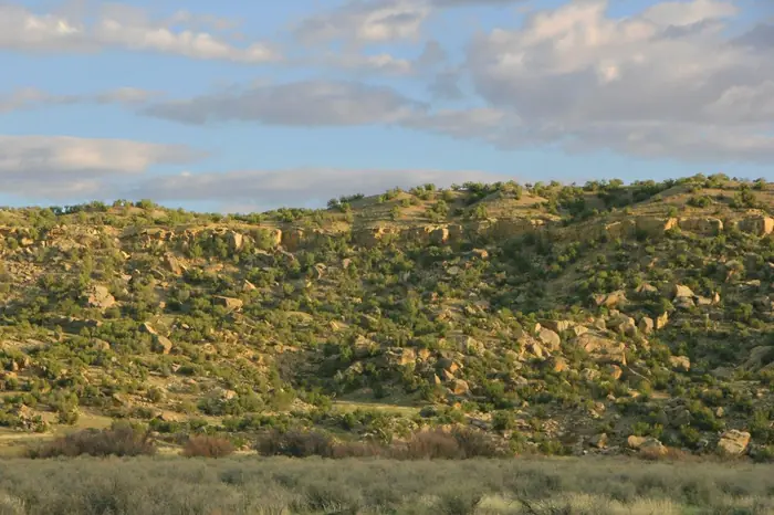 Arizona rocky hillside with desert brush