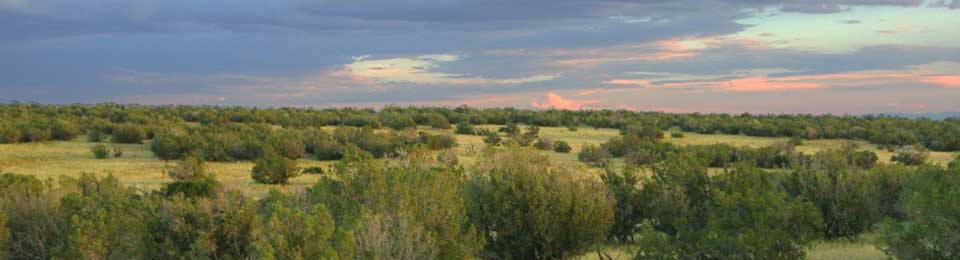 Horizon Ranch